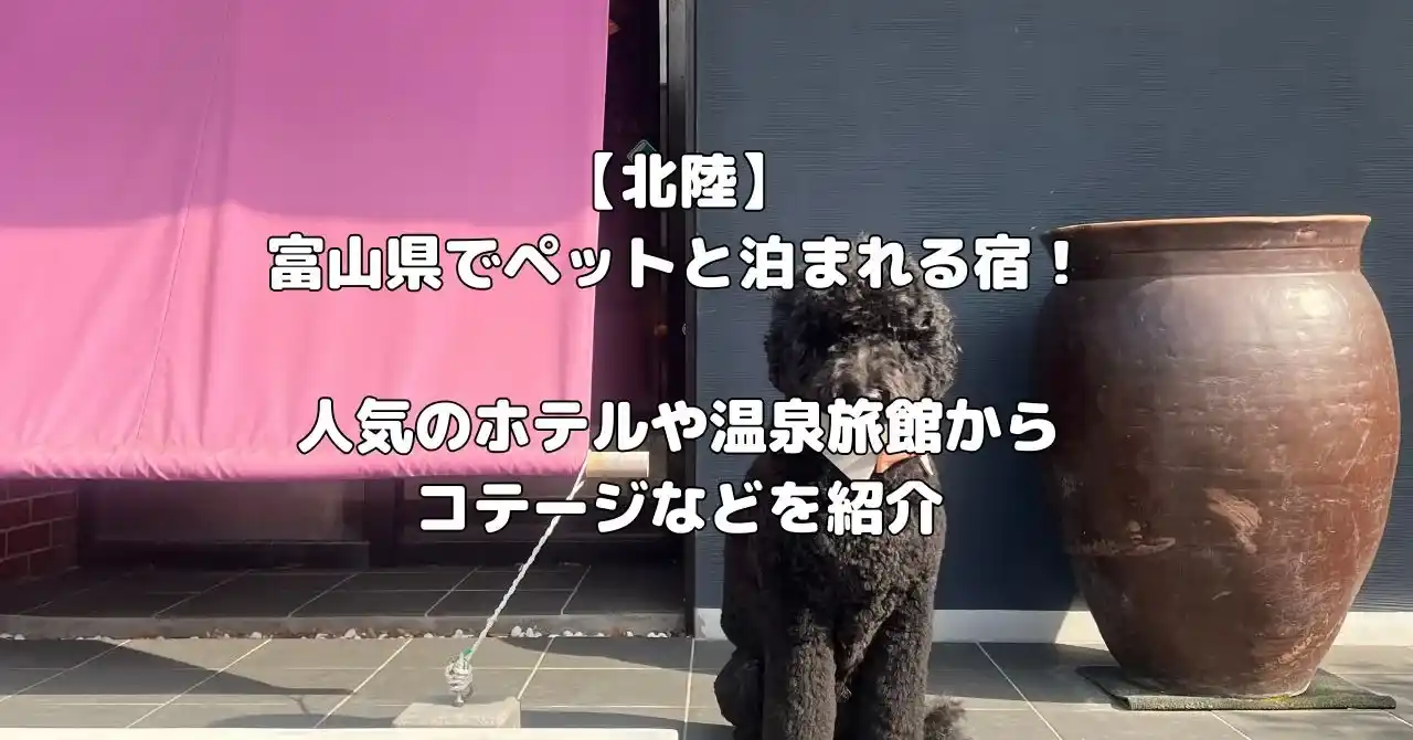 富山県でペットと泊まれる宿記事のアイキャッチ画像