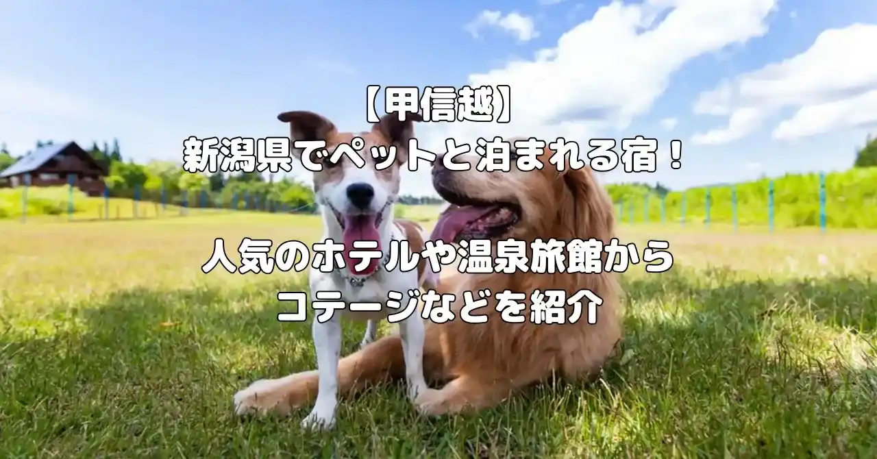 新潟県でペットと泊まれる宿記事のアイキャッチ画像