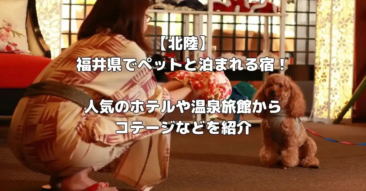 福井県でペットと泊まれる宿記事のアイキャッチ画像