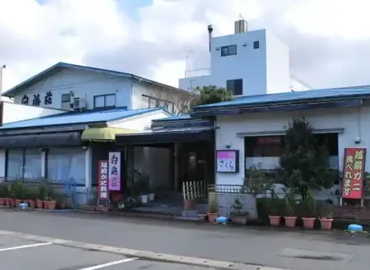 白浜荘＜福井県＞の画像