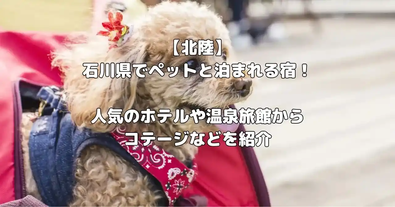 石川県でペットと泊まれる宿記事のアイキャッチ画像