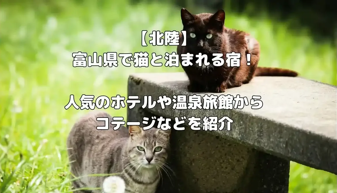 富山県で猫と泊まれる宿記事のアイキャッチ画像