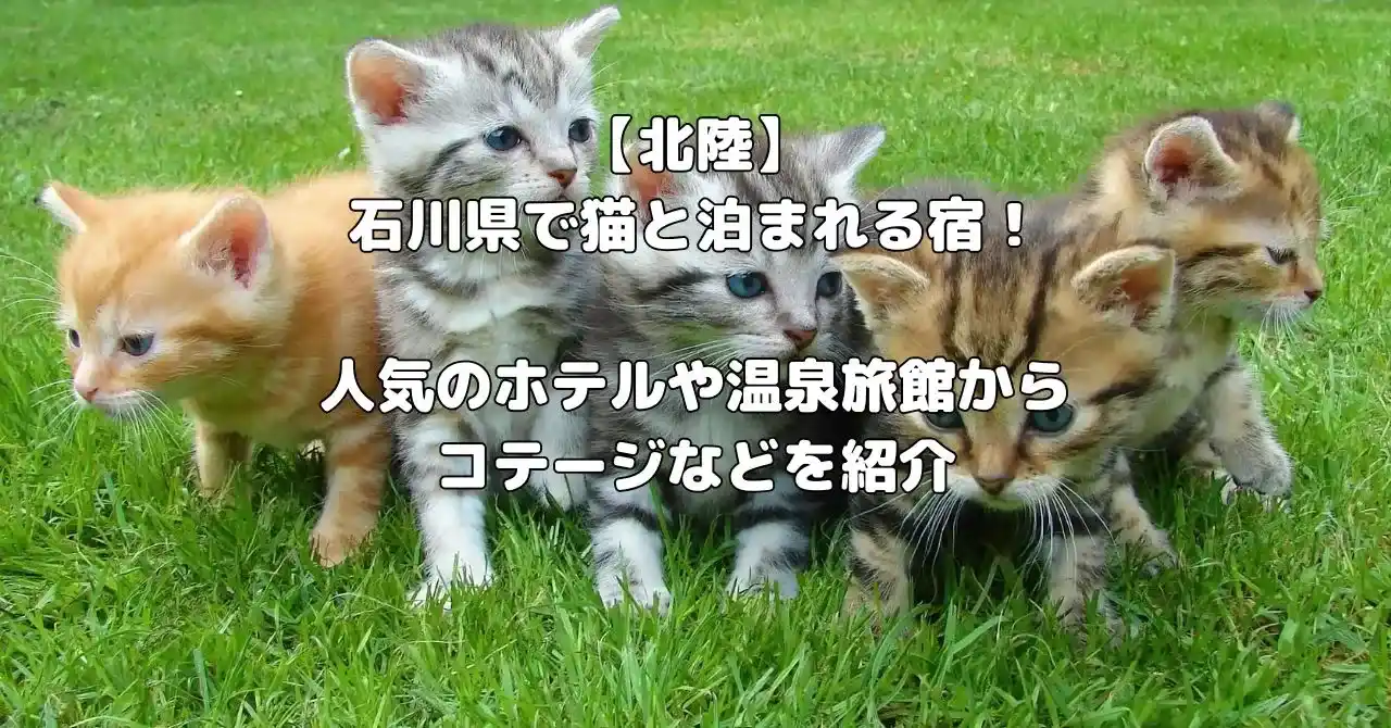 石川県で猫と泊まれる宿記事のアイキャッチ画像