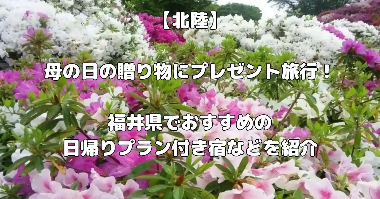 福井県で母の日のプレゼント旅行におすすめ宿記事のアイキャッチ画像