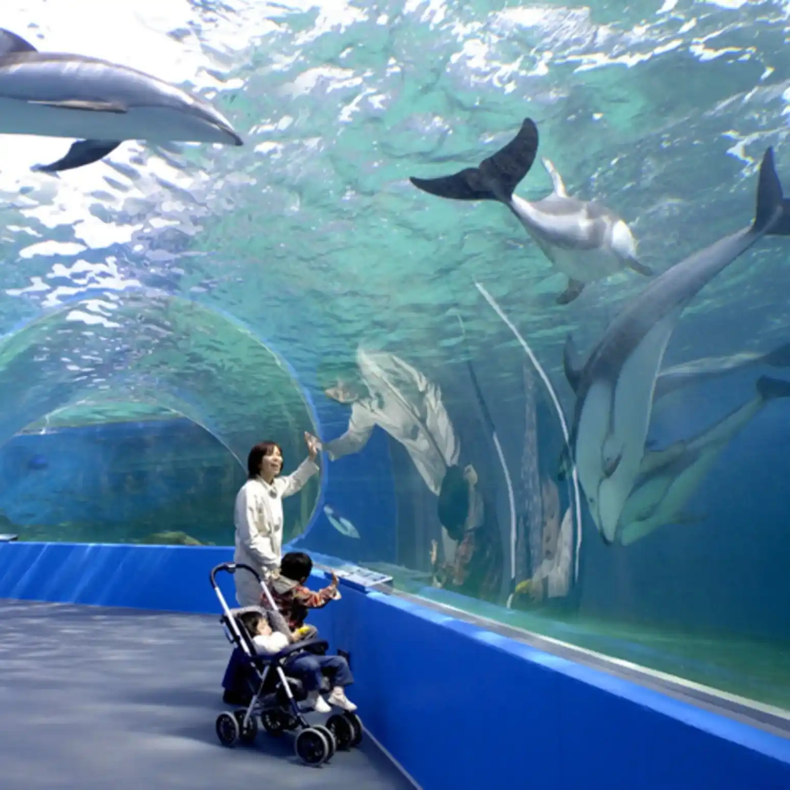 子供と訪れた、のとじま水族館の画像