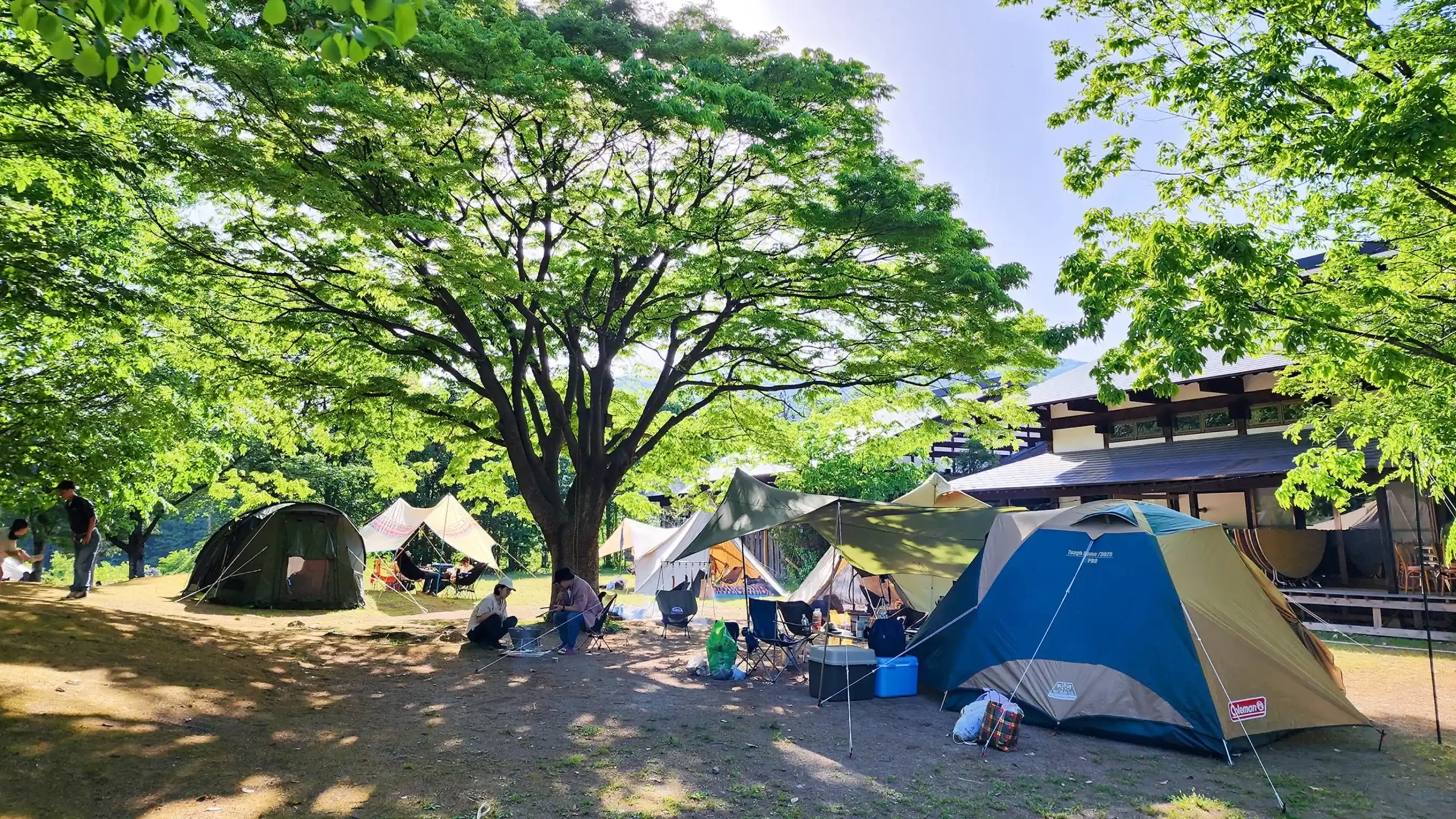 新潟県でキャンプをしている画像