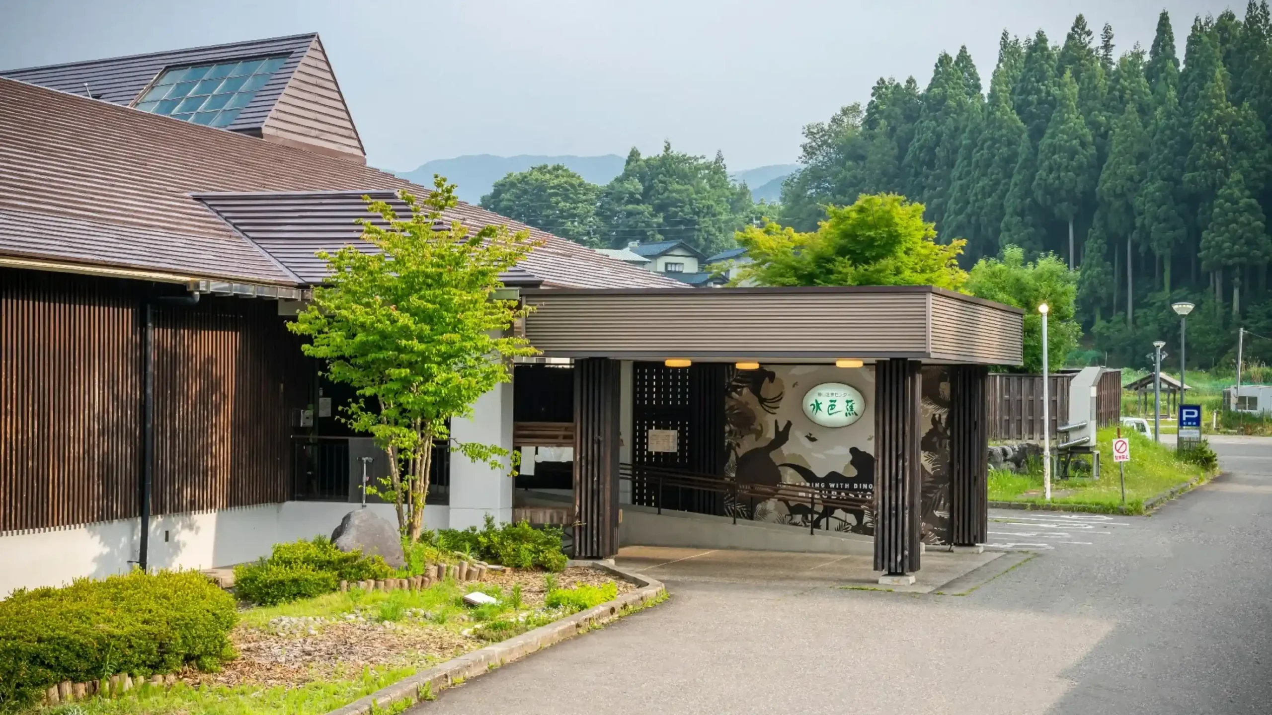 勝山天然温泉 水芭蕉の画像