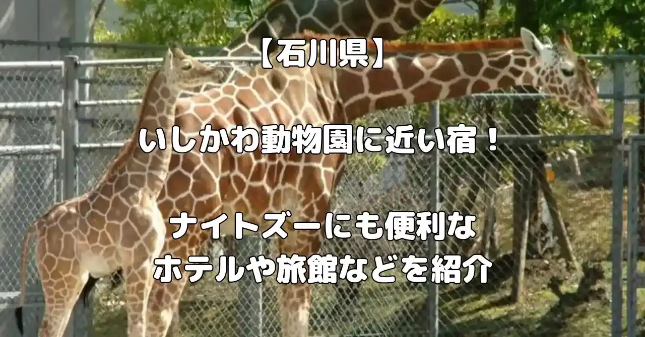 いしかわ動物園に近い宿記事のアイキャッチ画像