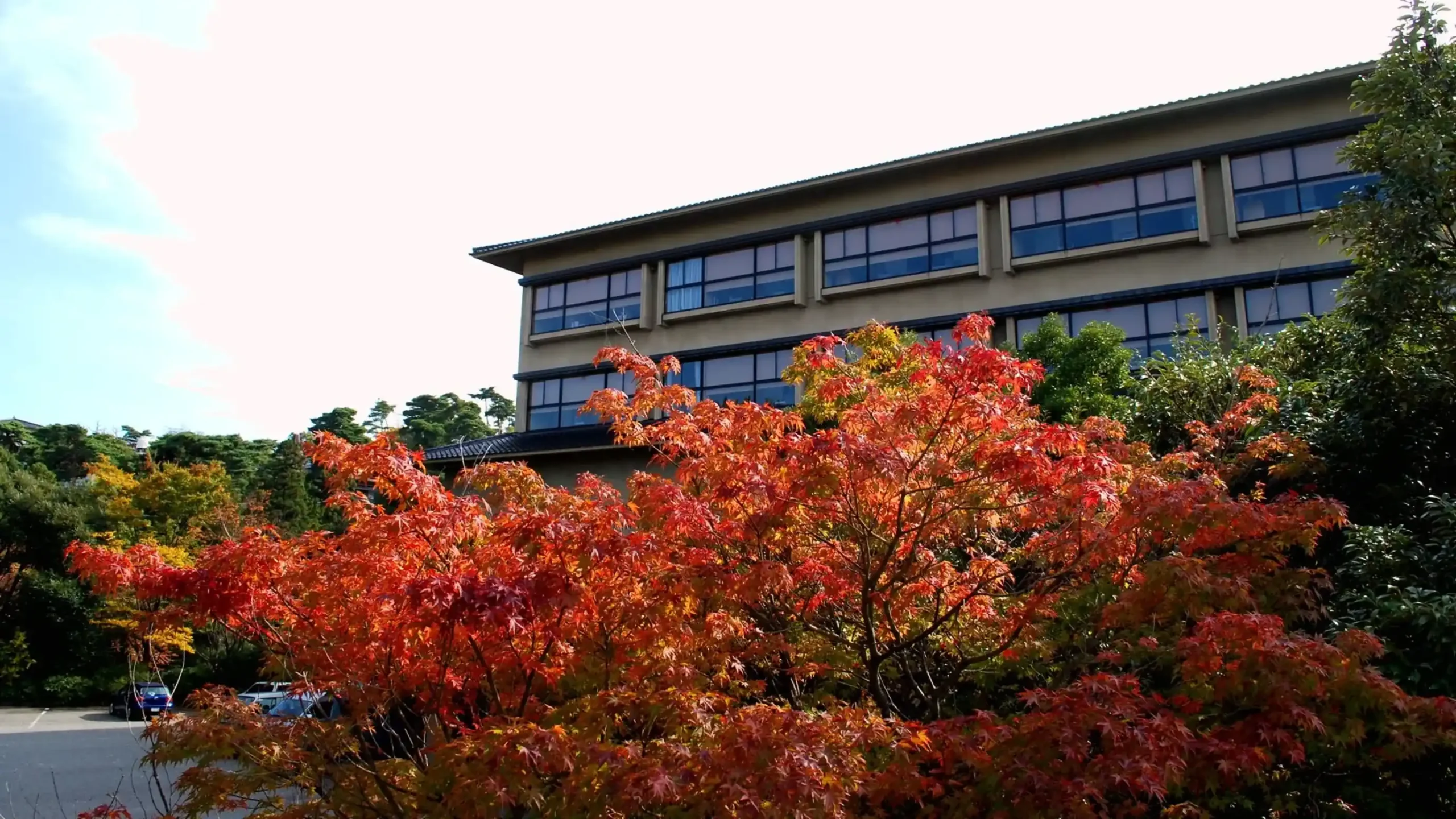 加賀山代温泉 みどりの宿 萬松閣の画像