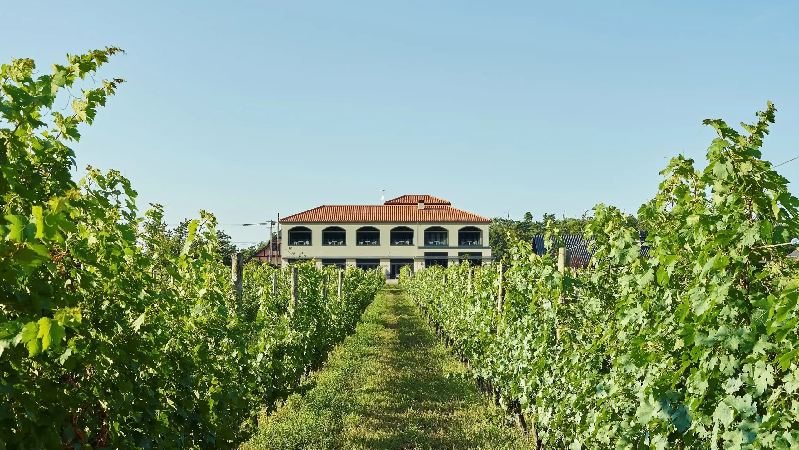 Winerystay TRAVIGNEの画像