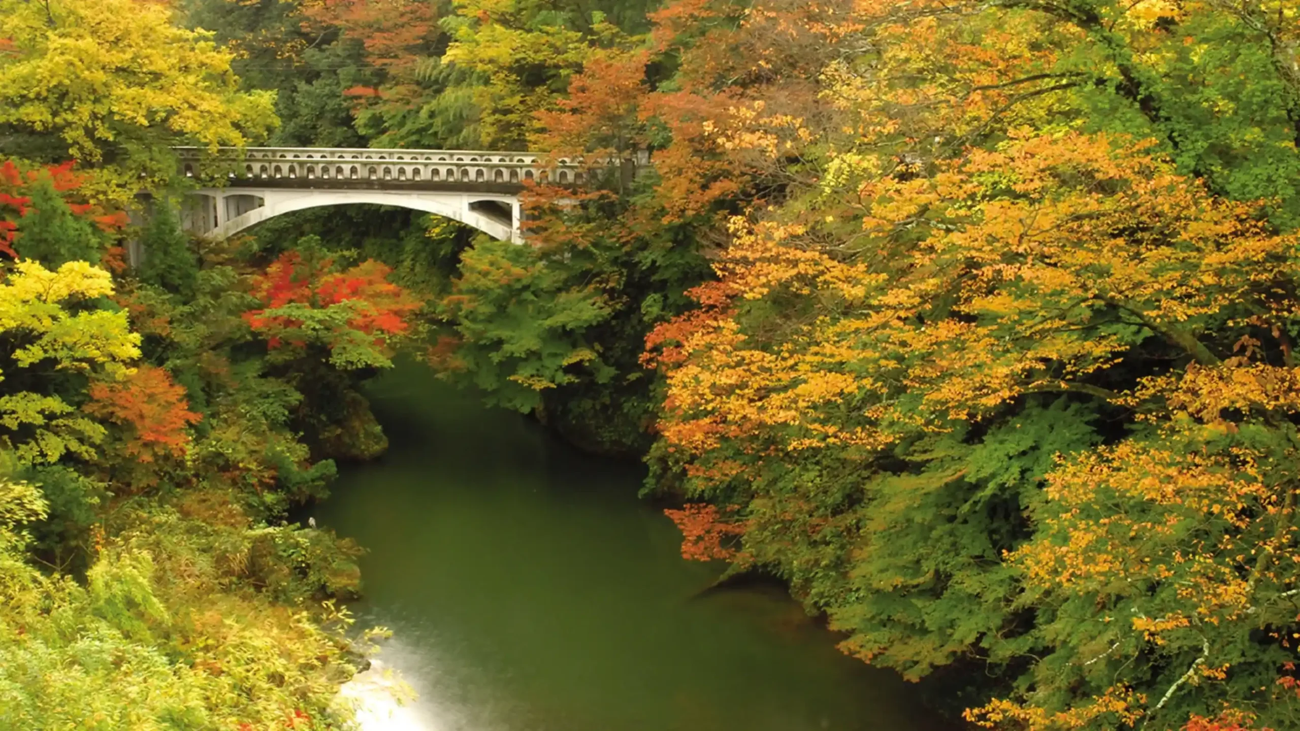 石川県の紅葉の画像