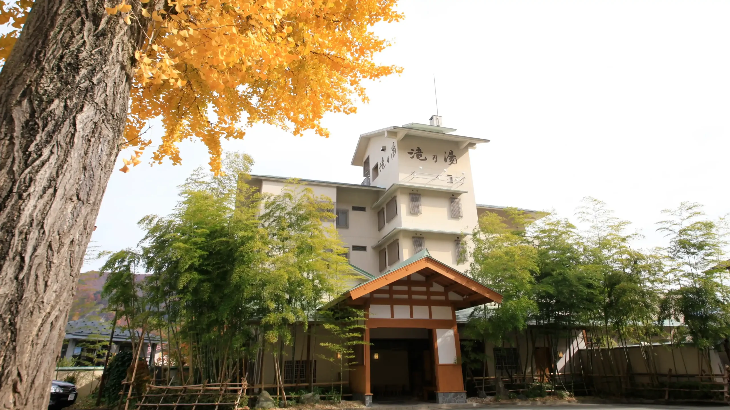 越後湯沢温泉 和みのお宿 滝乃湯の画像