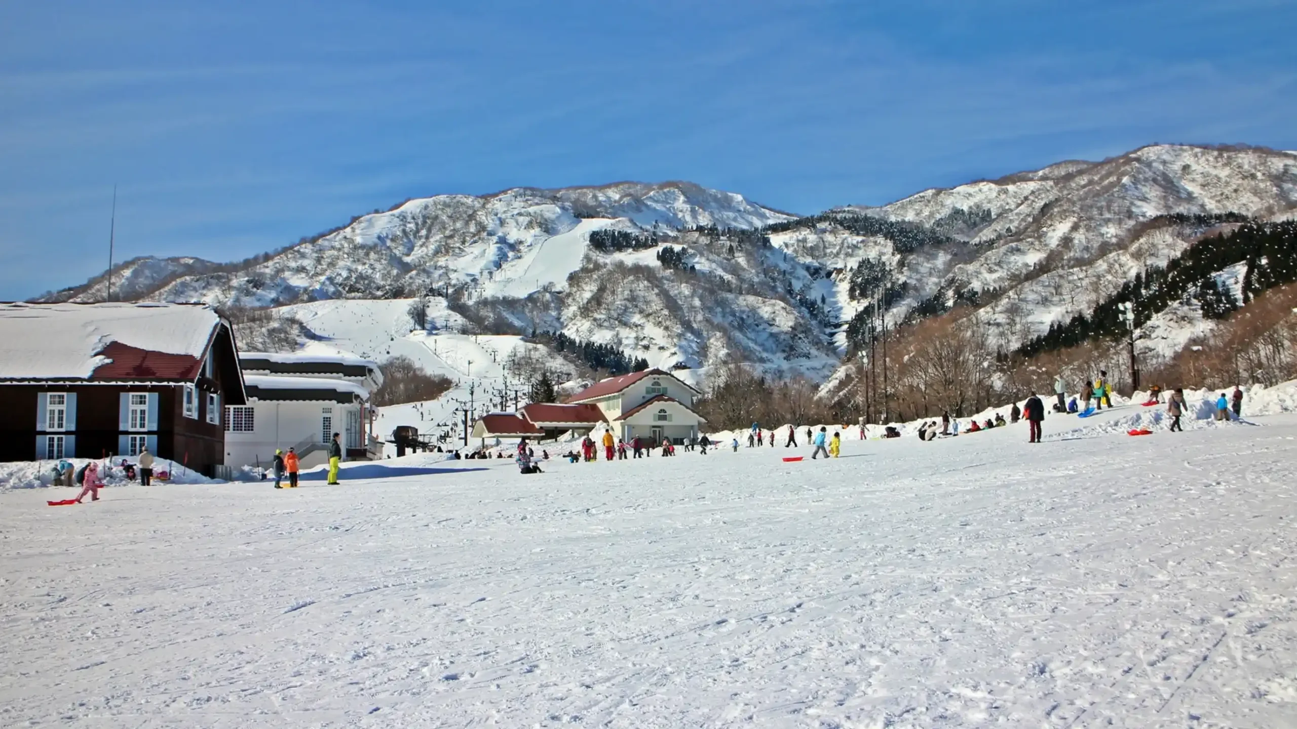 富山県の雪遊びをしているイメージ画像