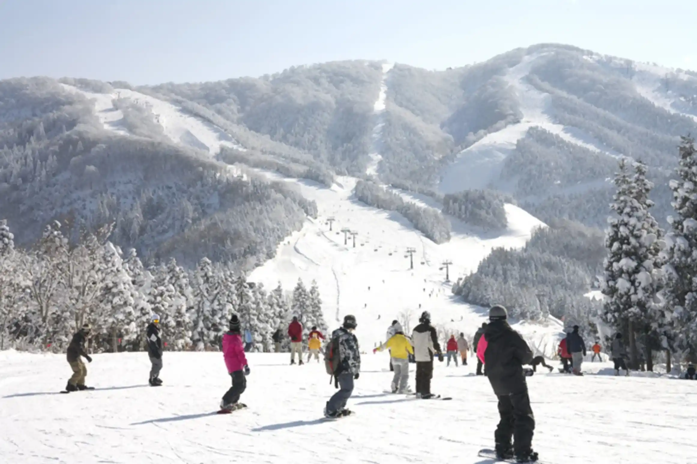福井県のスキージャム勝山で雪遊びをしているイメージ画像