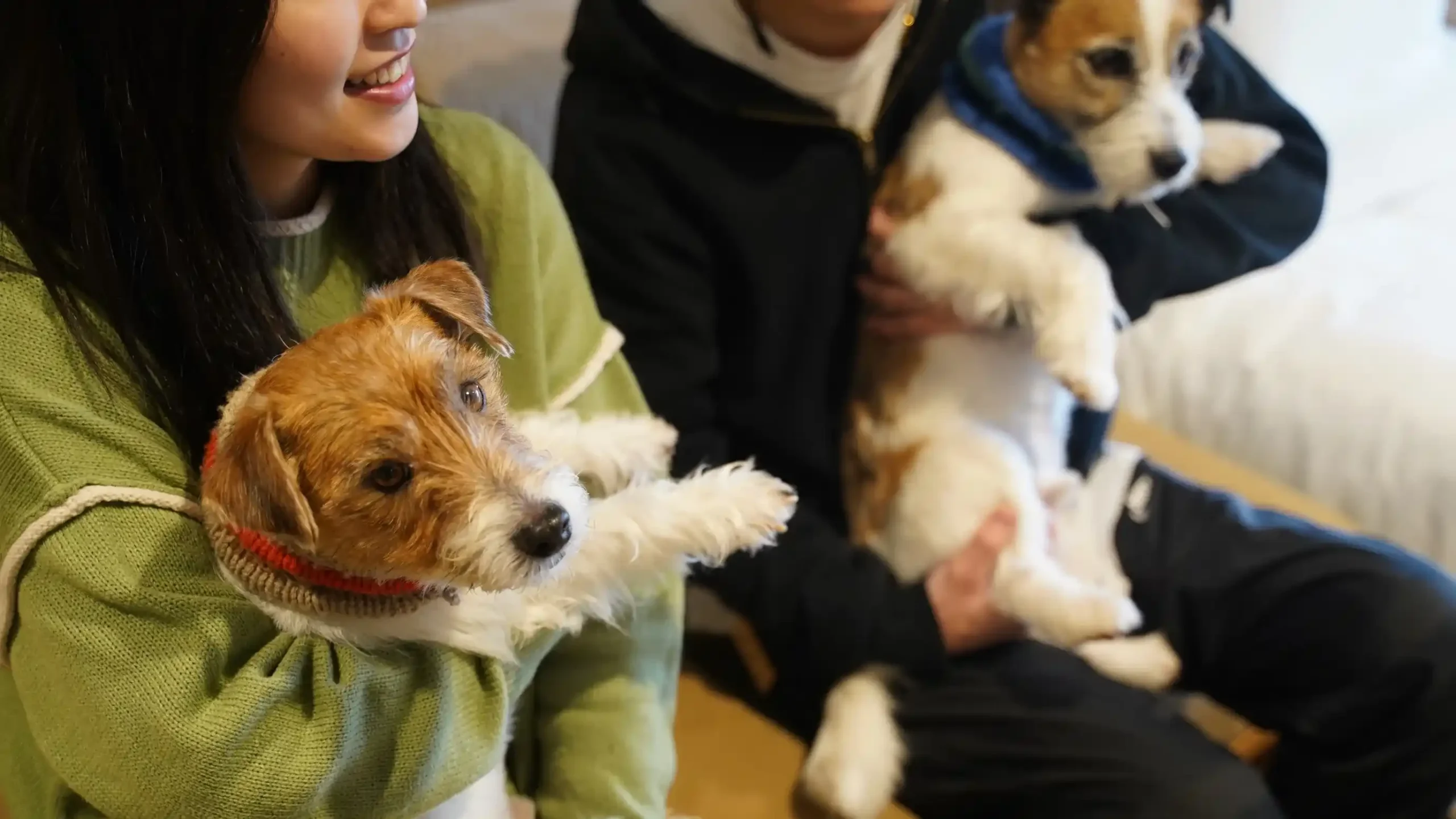 三重県のペットと泊まれる宿のイメージ画像