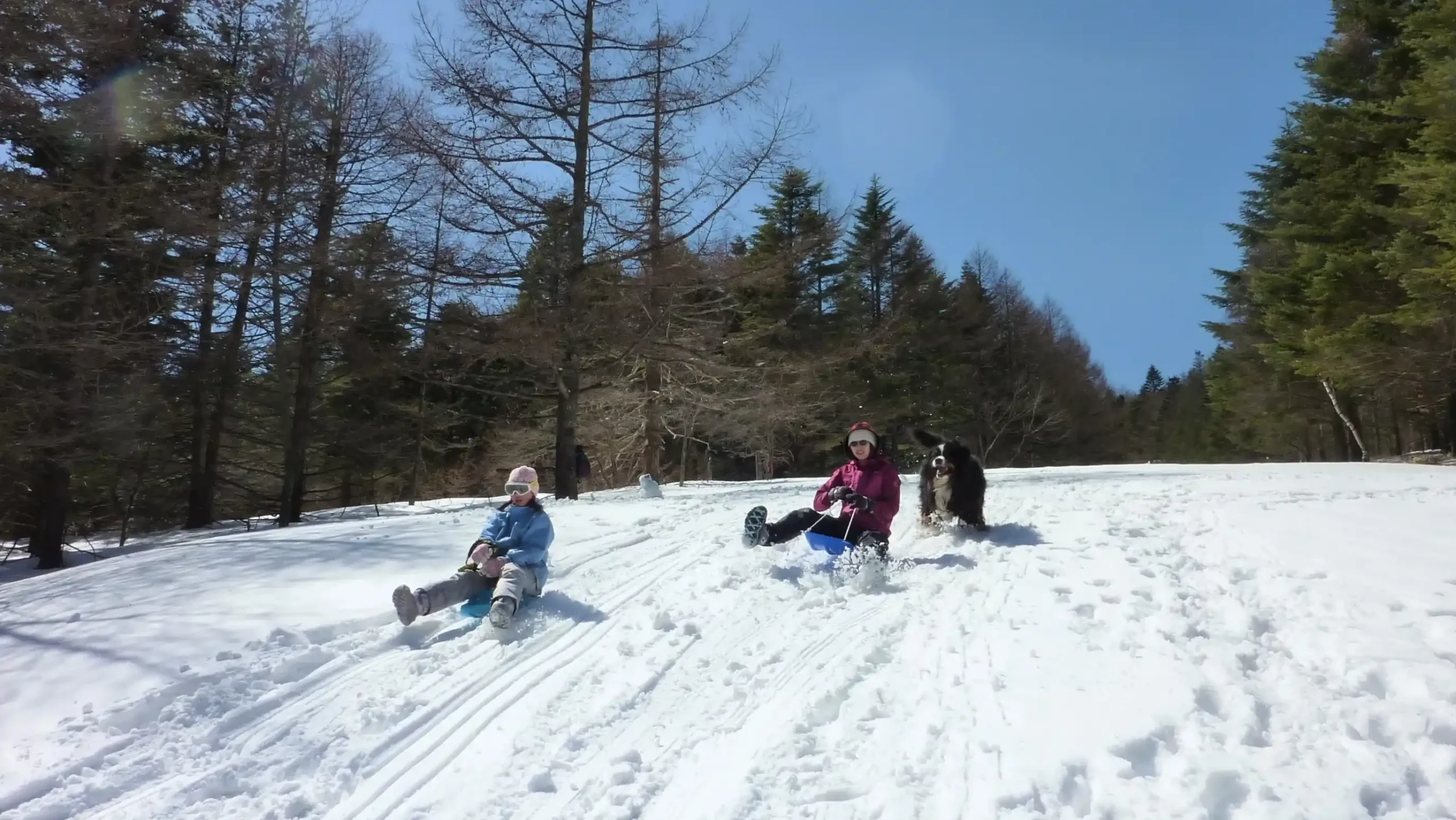 山梨県で雪遊びをしているイメージ画像
