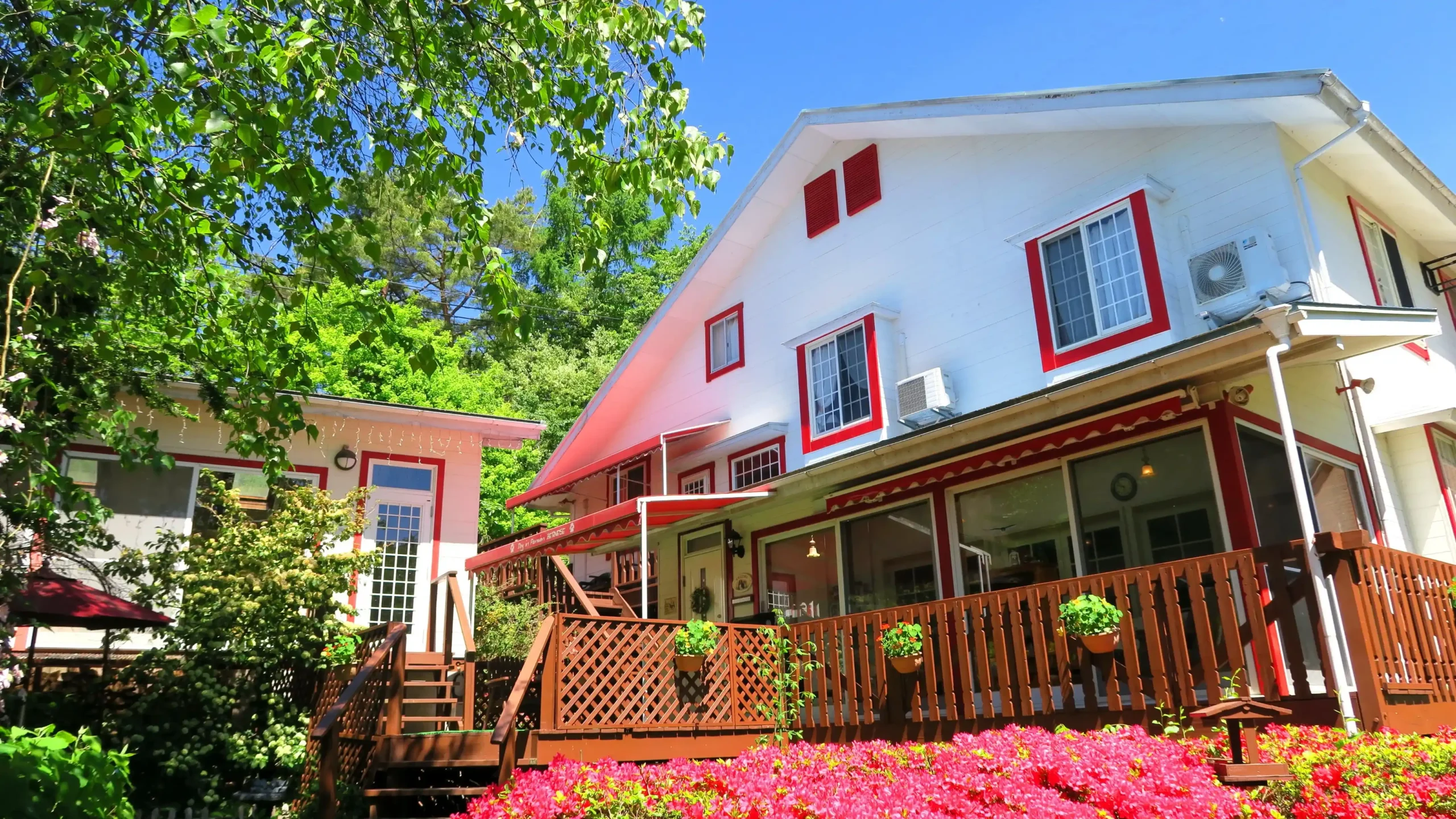 ドッグ イン ペンション バーニーズの画像