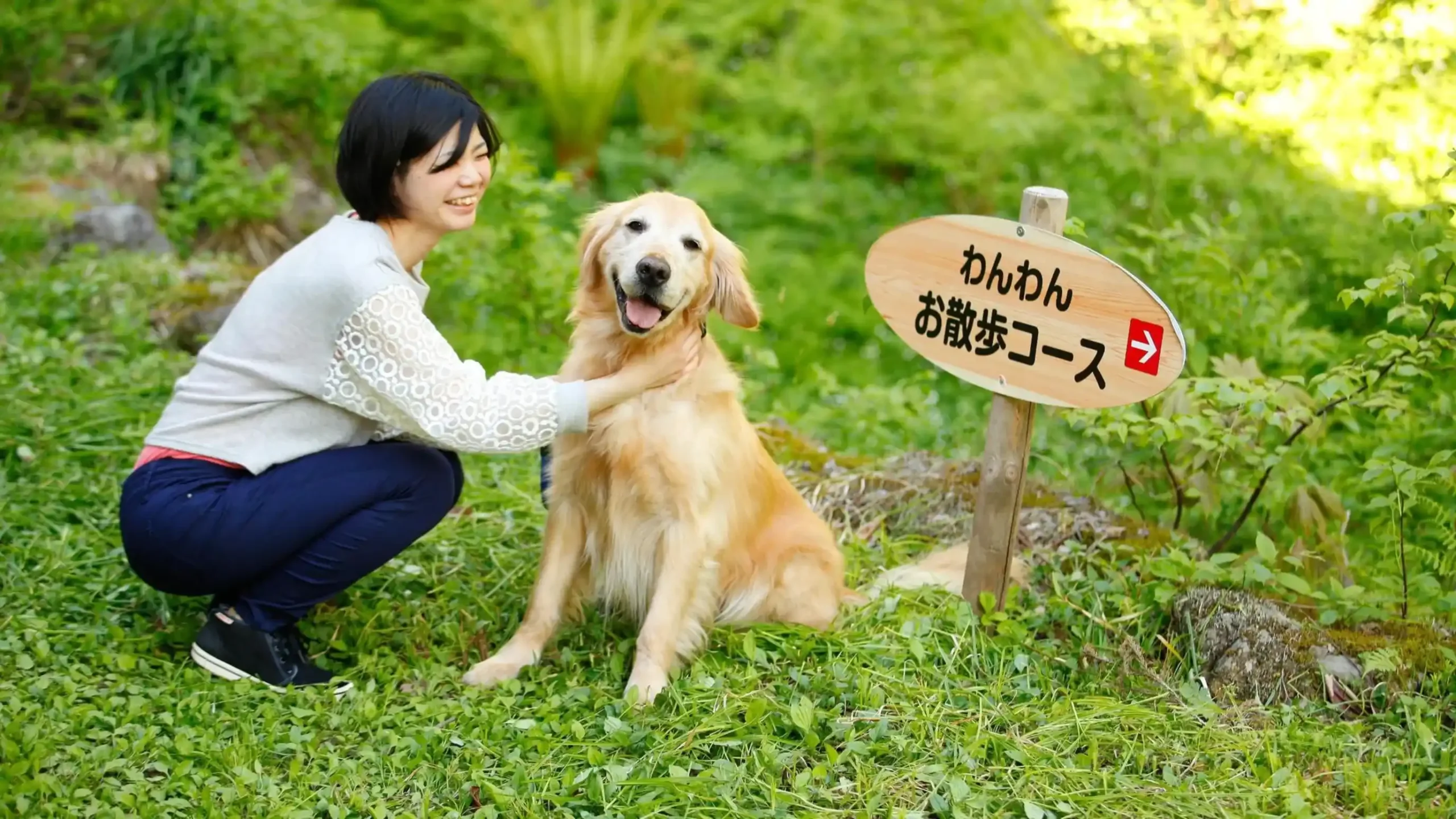 岐阜県でペットと泊まれる宿のイメージ画像