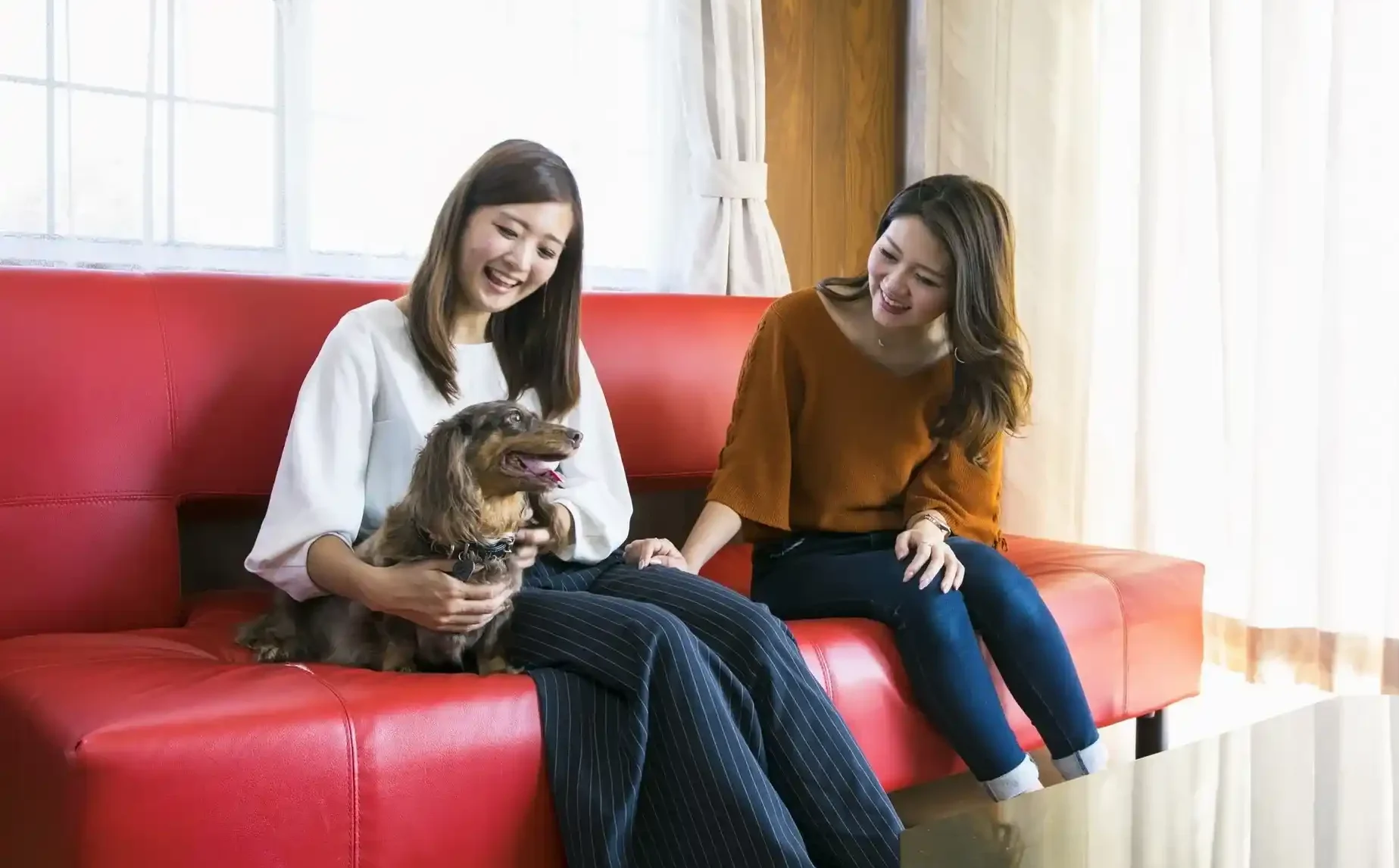 愛知県でペットと泊まれる宿のイメージ画像