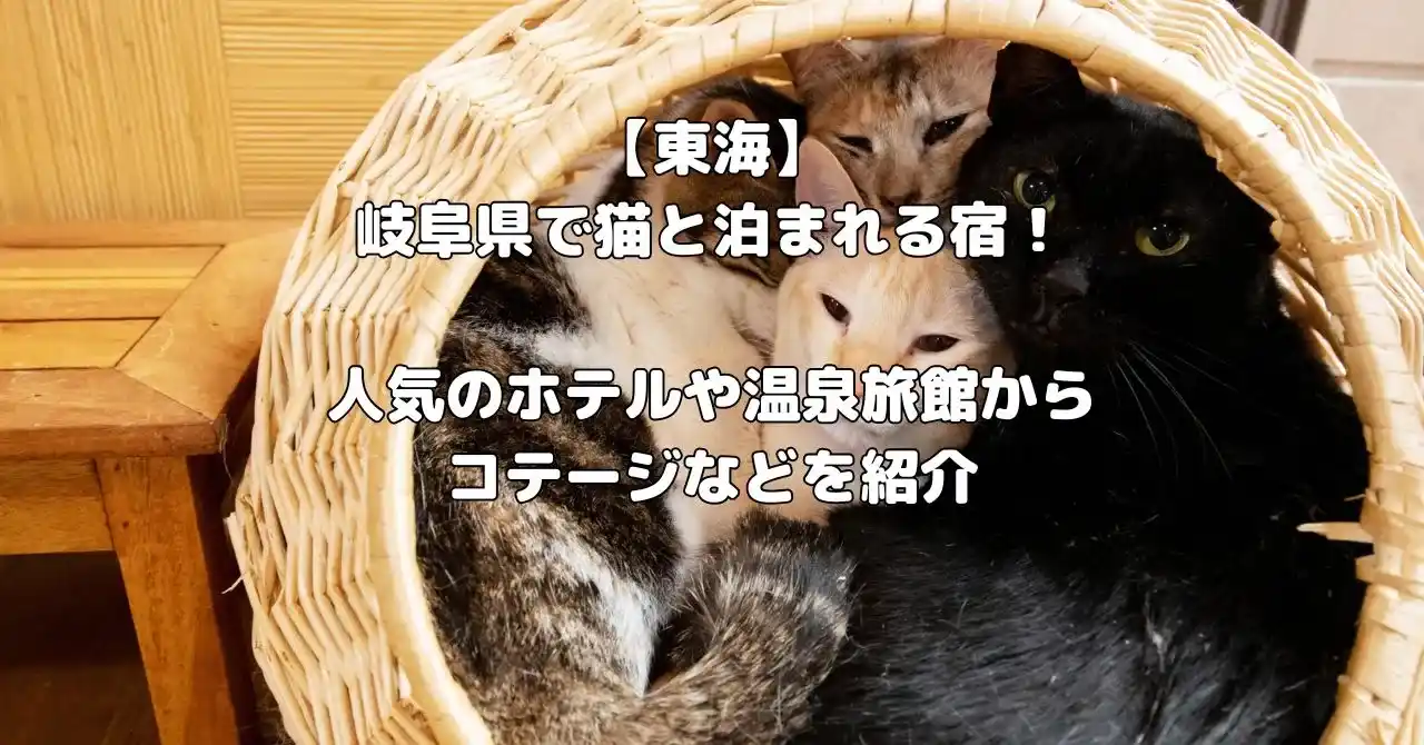 岐阜県で猫と泊まれる宿記事のアイキャッチ画像