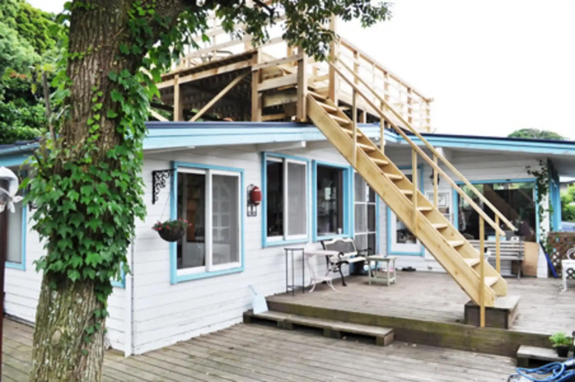 「＜伊豆高原温泉＞犬と猫のペンション アロン」の画像