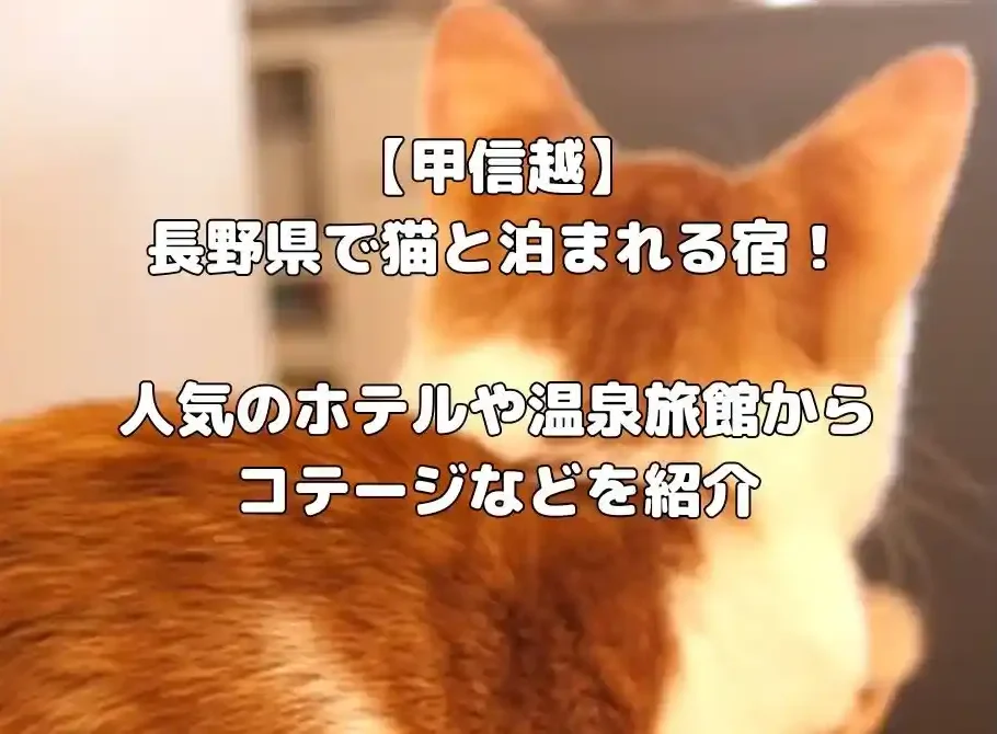 長野県で猫と泊まれる宿記事のアイキャッチ画像