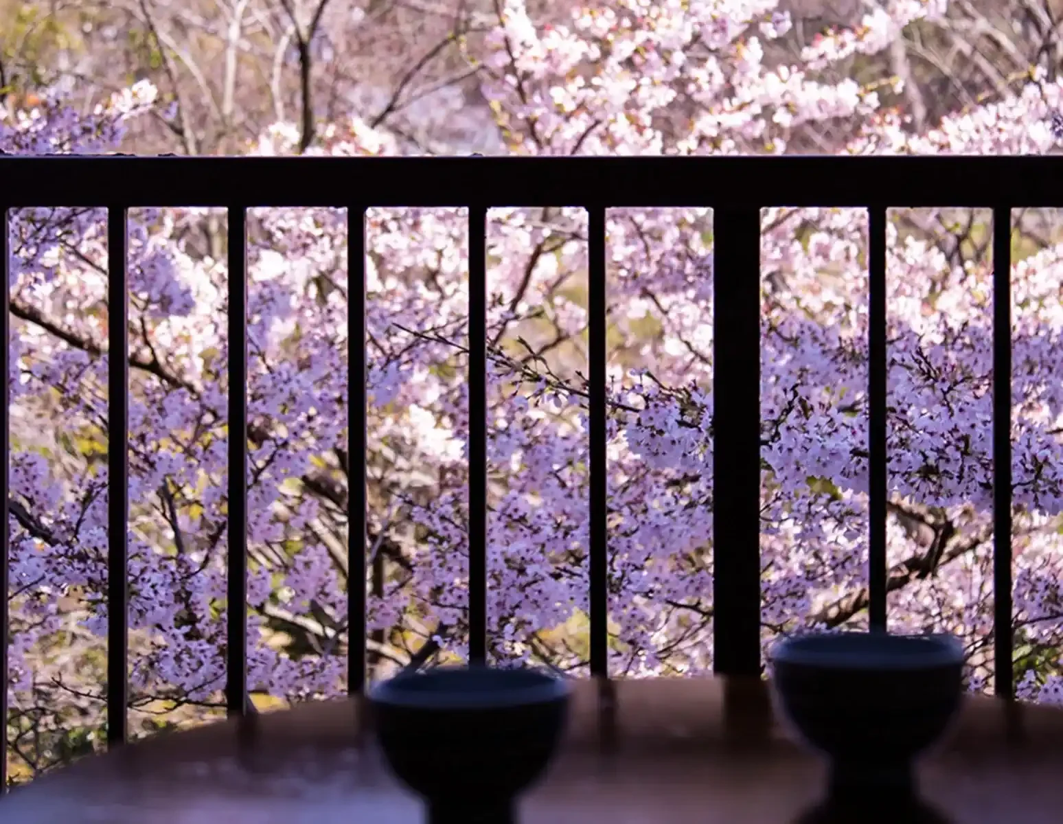 三重県の桜が楽しめる宿のイメージ画像