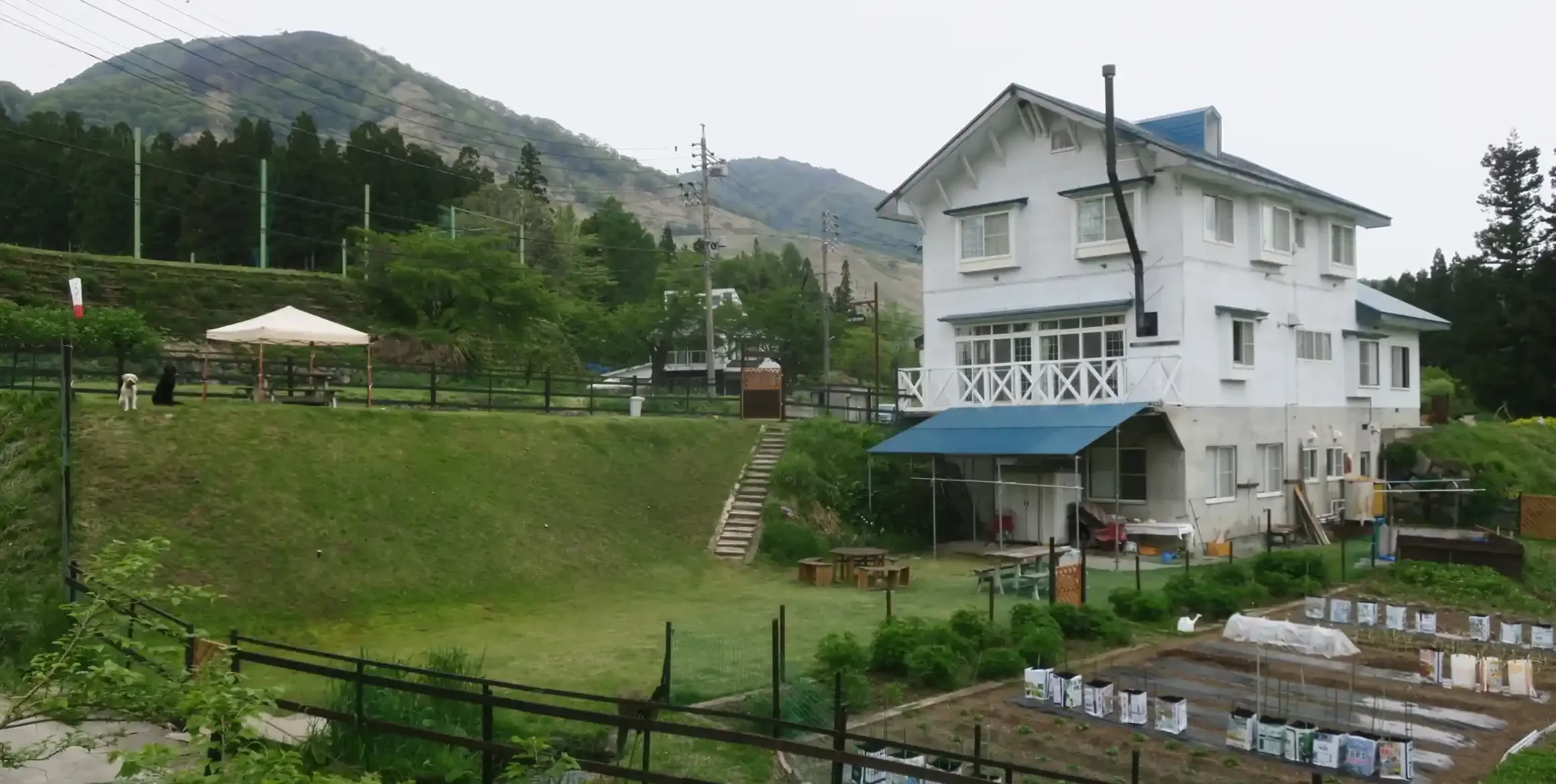 「ペンション シルバーファーン」の画像