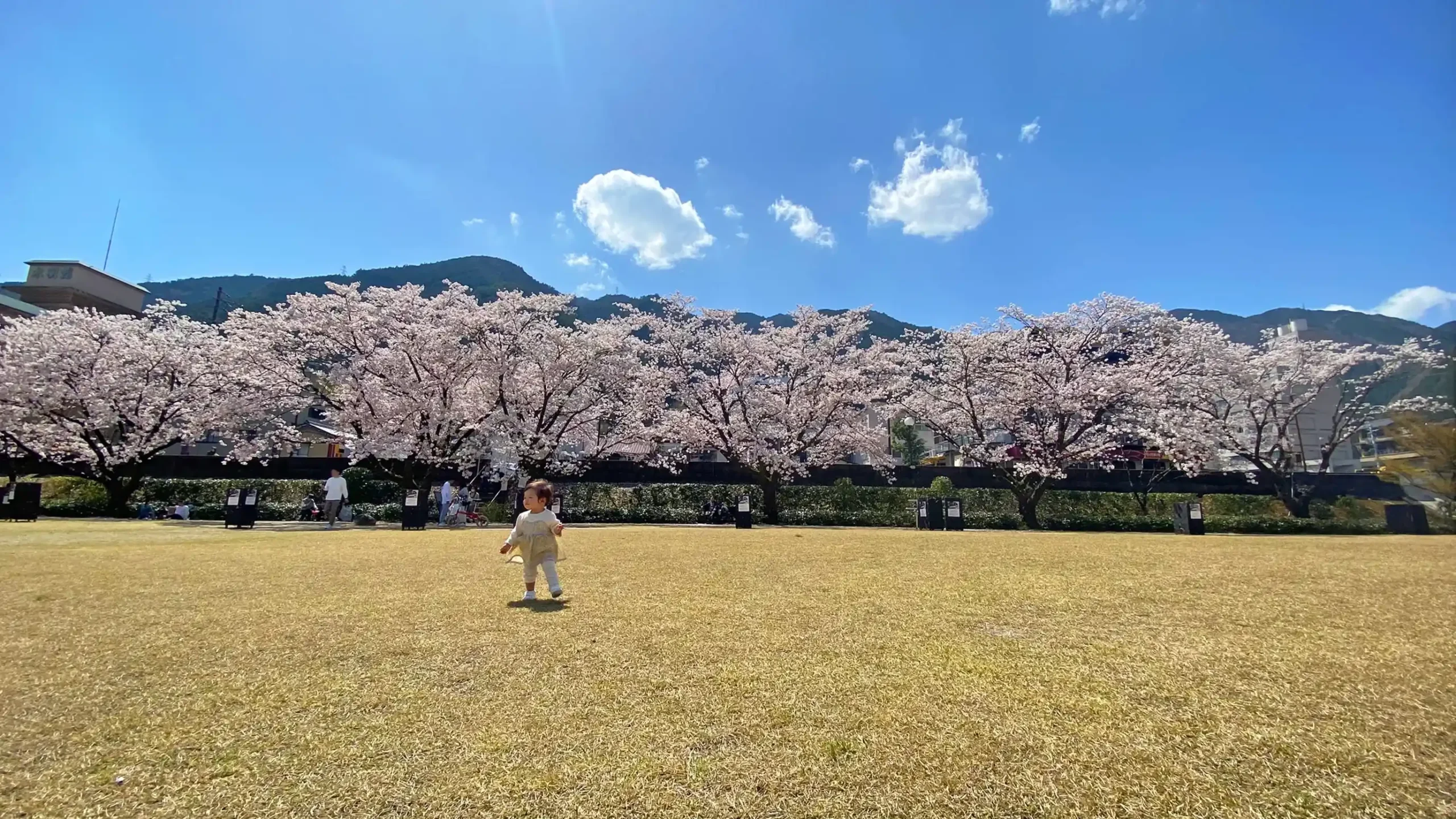 岐阜県の桜を楽しめる宿のイメージ画像