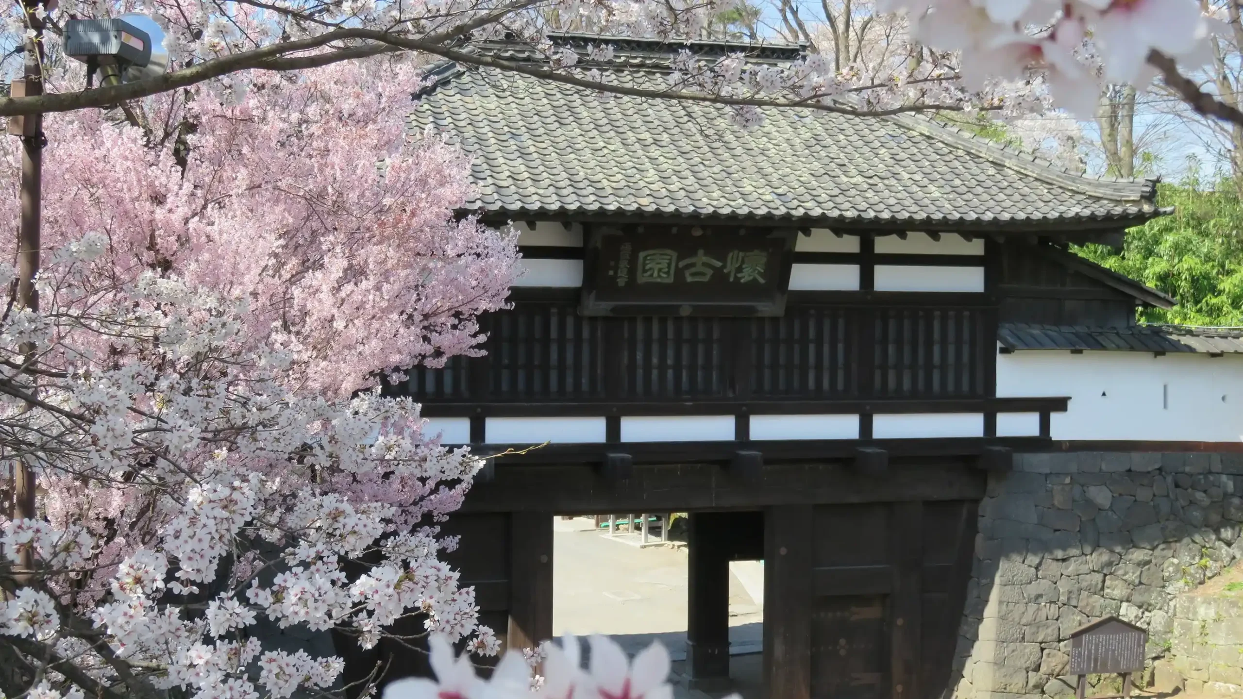 長野県で桜を楽しめる宿のイメージ画像