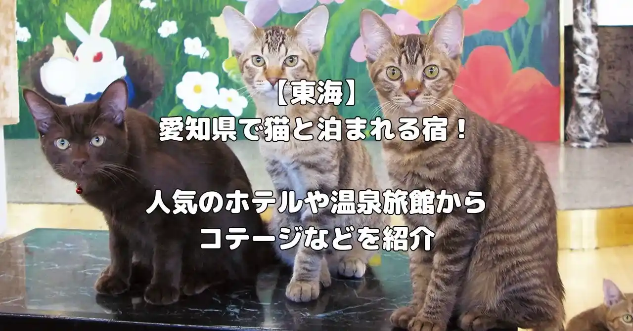 愛知県で猫と泊まれる宿記事のアイキャッチ画像