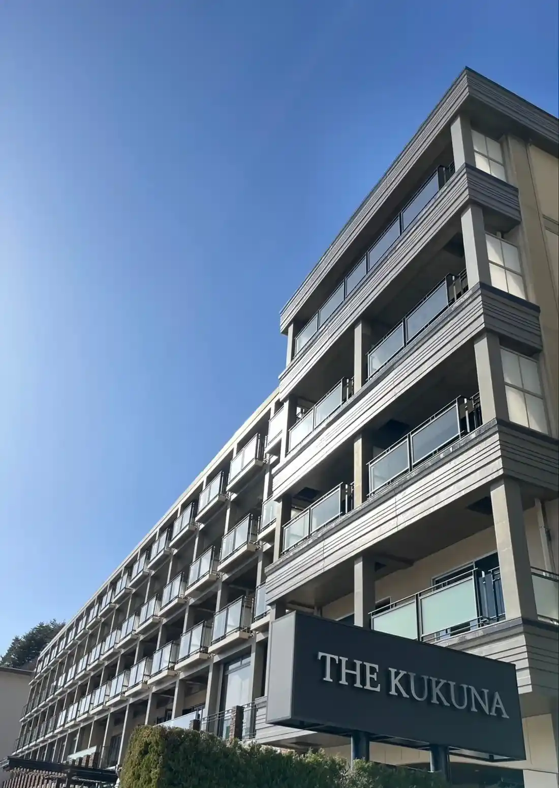 「THE KUKUNA」の画像